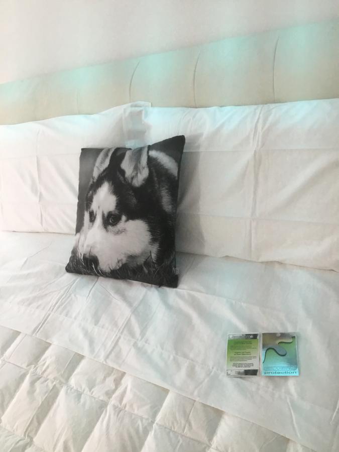 White Dream Suites Яш Екстериор снимка